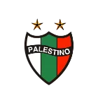 CD Palestino - soccerdealshop