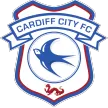 Cardiff City - soccerdeal