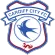 Cardiff City - soccerdealshop