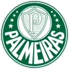 SE Palmeiras - soccerdeal