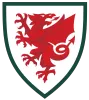 Wales - soccerdealshop