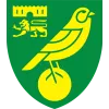Norwich City - soccerdealshop