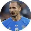 Italy- - soccerdeal