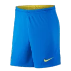 Nike Brazil Home Soccer Shorts 2021 - soccerdealshop