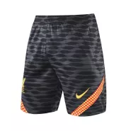 Nike Liverpool Training Soccer Shorts 21/22 - soccerdealshop