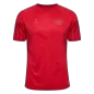 Denmark Home Soccer Jersey 2022 - World Cup 2022 - soccerdeal