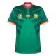 Cameroon Home Soccer Jersey 2022 - World Cup 2022 - soccerdeal
