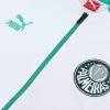 SE Palmeiras Training Kit (Jacket+Pants) 2023/24 - Soccerdeal