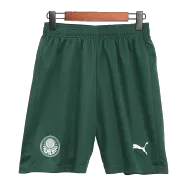 SE Palmeiras Away Soccer Shorts 2023/24 - soccerdealshop