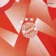 Bayern Munich Pre-Match Soccer Jersey 2023/24 - soccerdeal