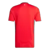 Wales Home Soccer Jersey 2024 - Soccerdeal