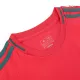 Wales Home Soccer Jersey 2024 - soccerdeal