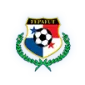 2024 Copa América Team - Soccerdeal