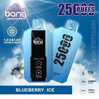 Bang B10 25K Puffs Disposable Vape - Soccerdeal