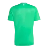 Manchester United Goalkeeper Soccer Jersey 2025/26 - Soccerdeal