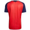 Spain Home Soccer Jersey 2026 FIFA World Cup 2026 Final Match Edition (With Patches) - Soccerdeal
