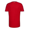 Wales Home Soccer Jersey 2026 - Soccerdeal