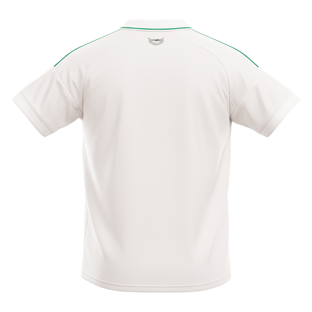 Wales Away Soccer Jersey 2026 - Soccerdeal