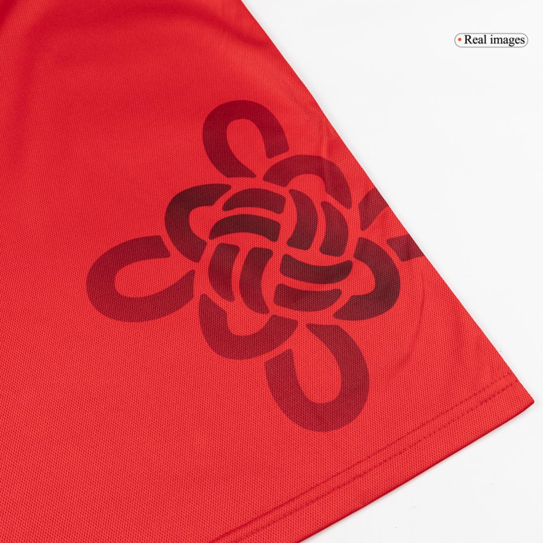 Manchester United Long Sleeve Soccer Jersey 2025/26 - Soccerdeal