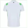 Northern Ireland Away Soccer Jersey 2026 - Soccerdeal